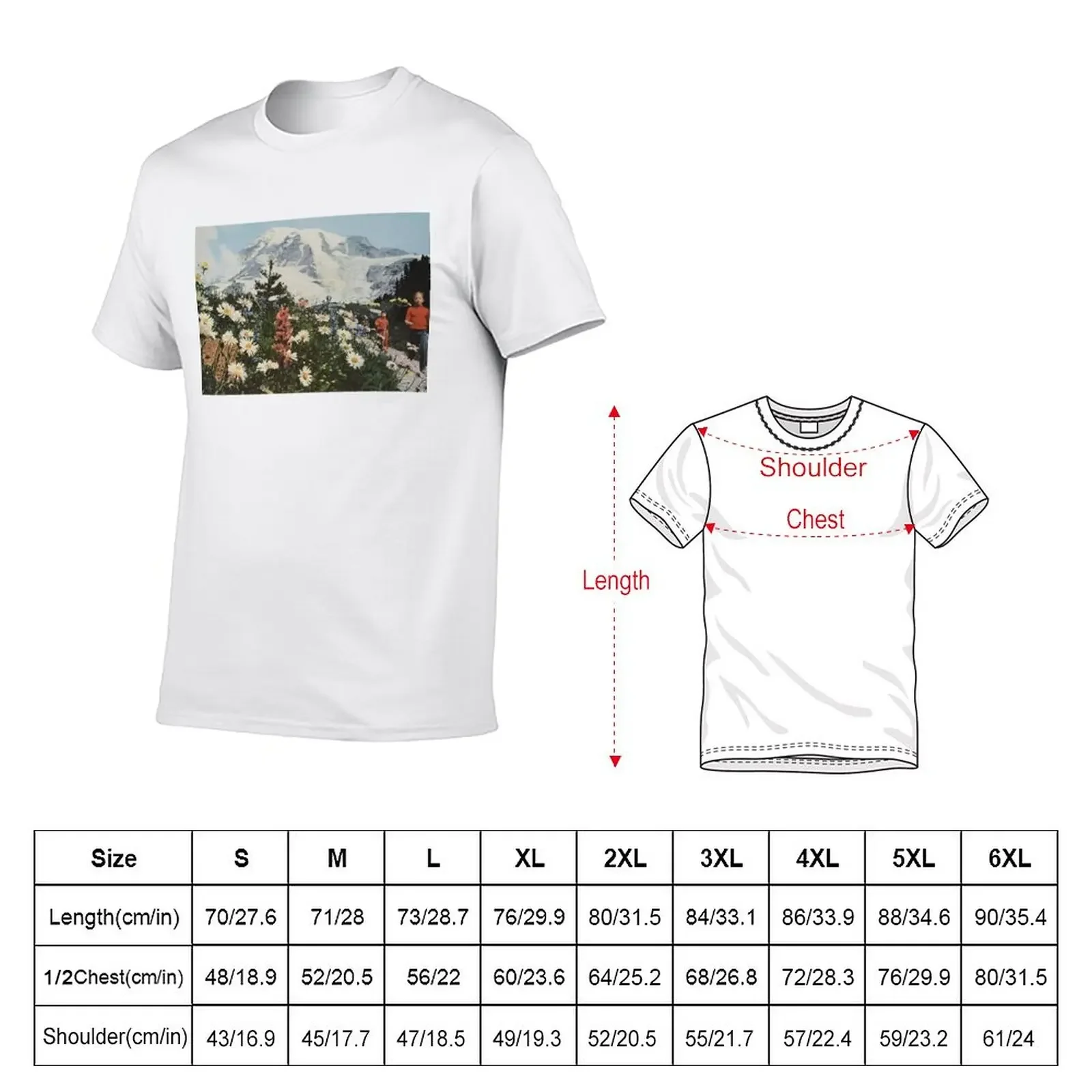 their satanic majesties second request T-Shirt aesthetic clothes summer tops oversized big and tall t shirts for men