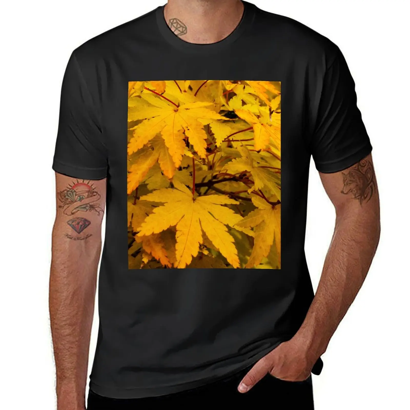 

Colourful Autumn Acer Leaves in October T-Shirt Aesthetic clothing anime plus sizes mens graphic t-shirts big and tall