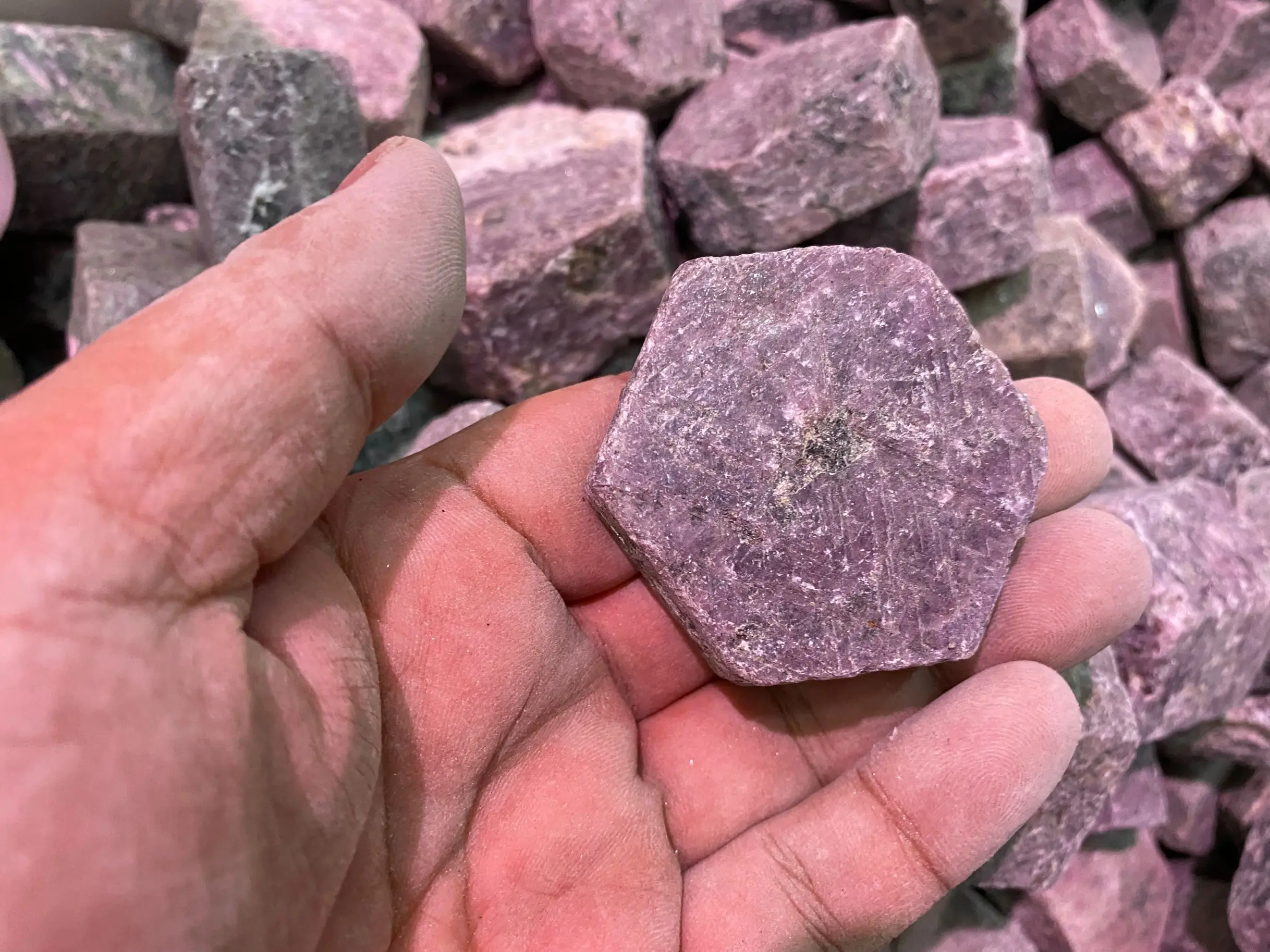 1/2 lbs Natural Red Ruby crystals Raw Rough Loose Gemstone Lot