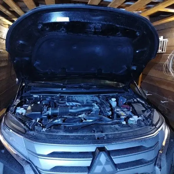 

1 Set Gas Struts For Mitsubishi Pajero Sport KR/KS/QE/QF 2015-present Front Hood Bonnet Lift Support Damper Shock Absorber Rods