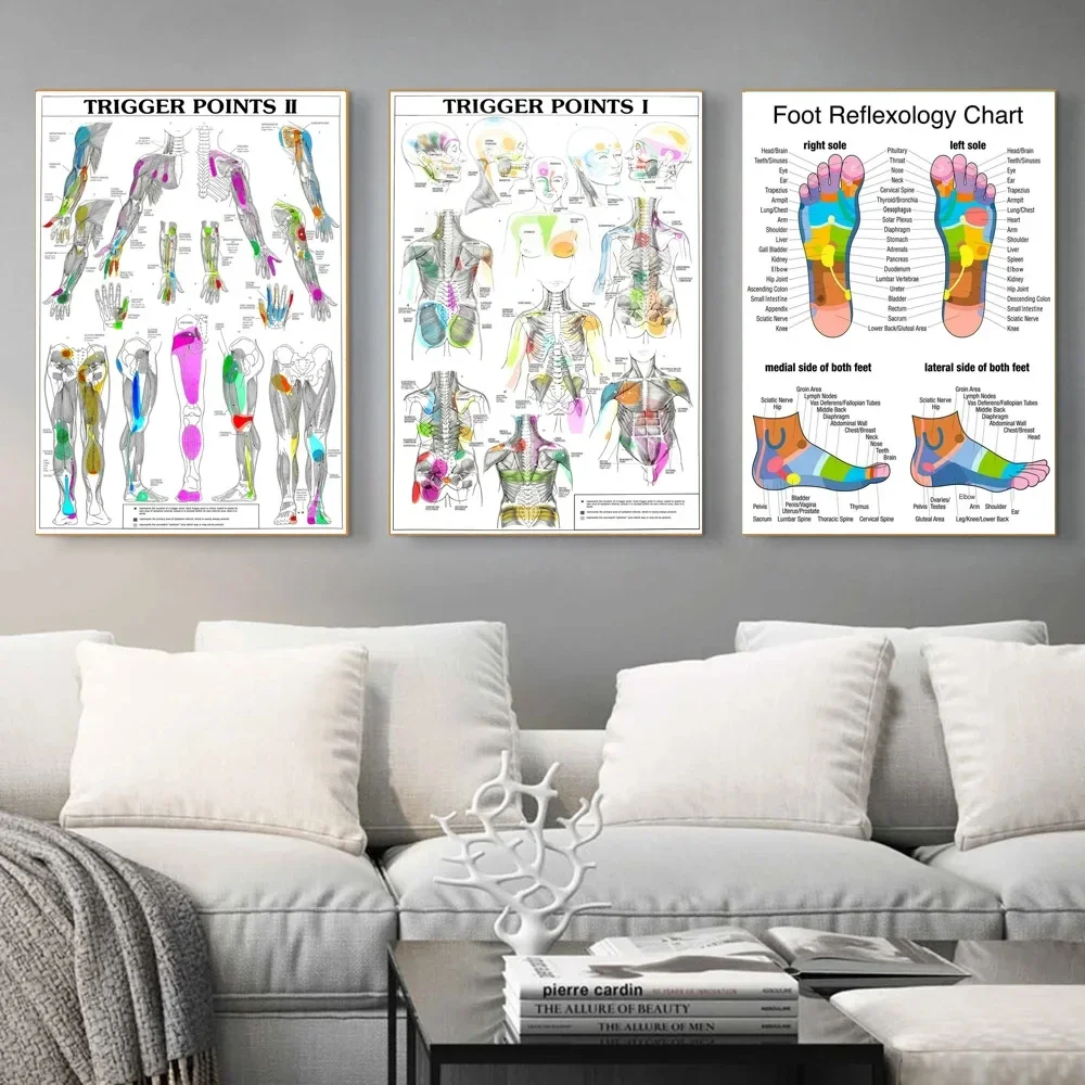 Foot Reflexology Trigger Points Anatomy Chart  Canvas Wall Art Poster for Study  Home Decor