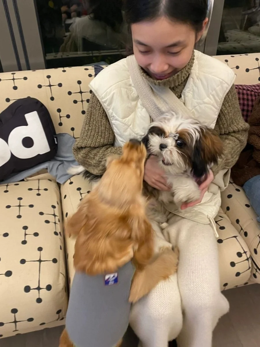 Koreanische Sle Layered Baumwolle Jaet Weste Strickjacke frauen Herbst Winter Dstring Gürtel runde Ne Bal Oberbekleidung