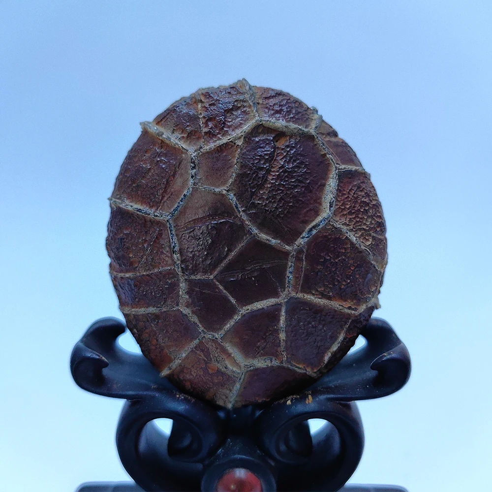 

HzzzR 1PC Asian Natural Stone Natural Moire Stone Crystals Stone Natural Piedras Decorativas Men Gift Office Stone Sculpture