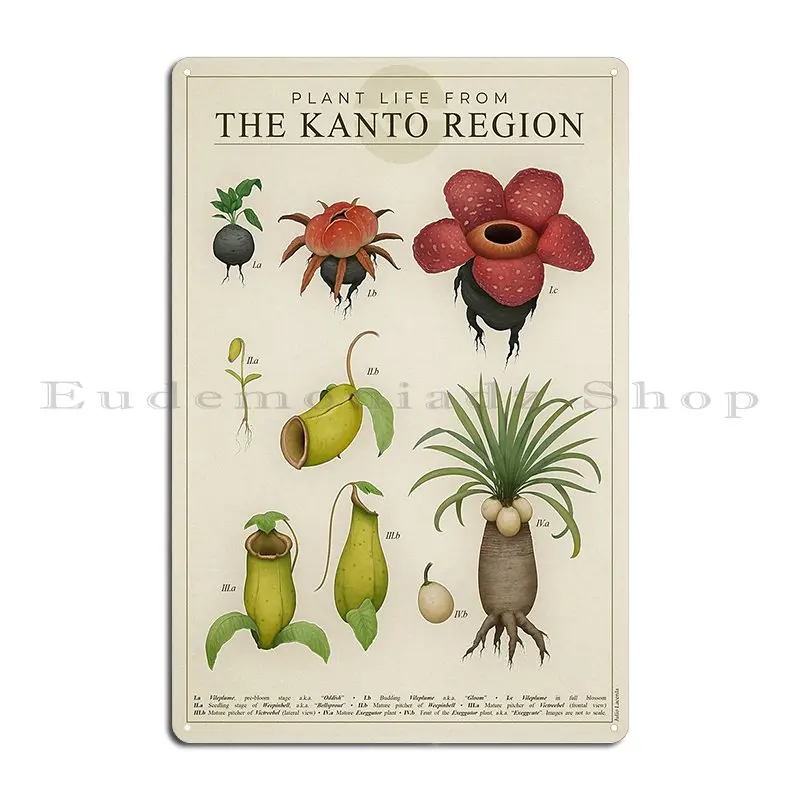 Plant Life From Kanto Metal Plaque Decoration Designs Garage Decoration Decoration Plaques Tin Sign Poster