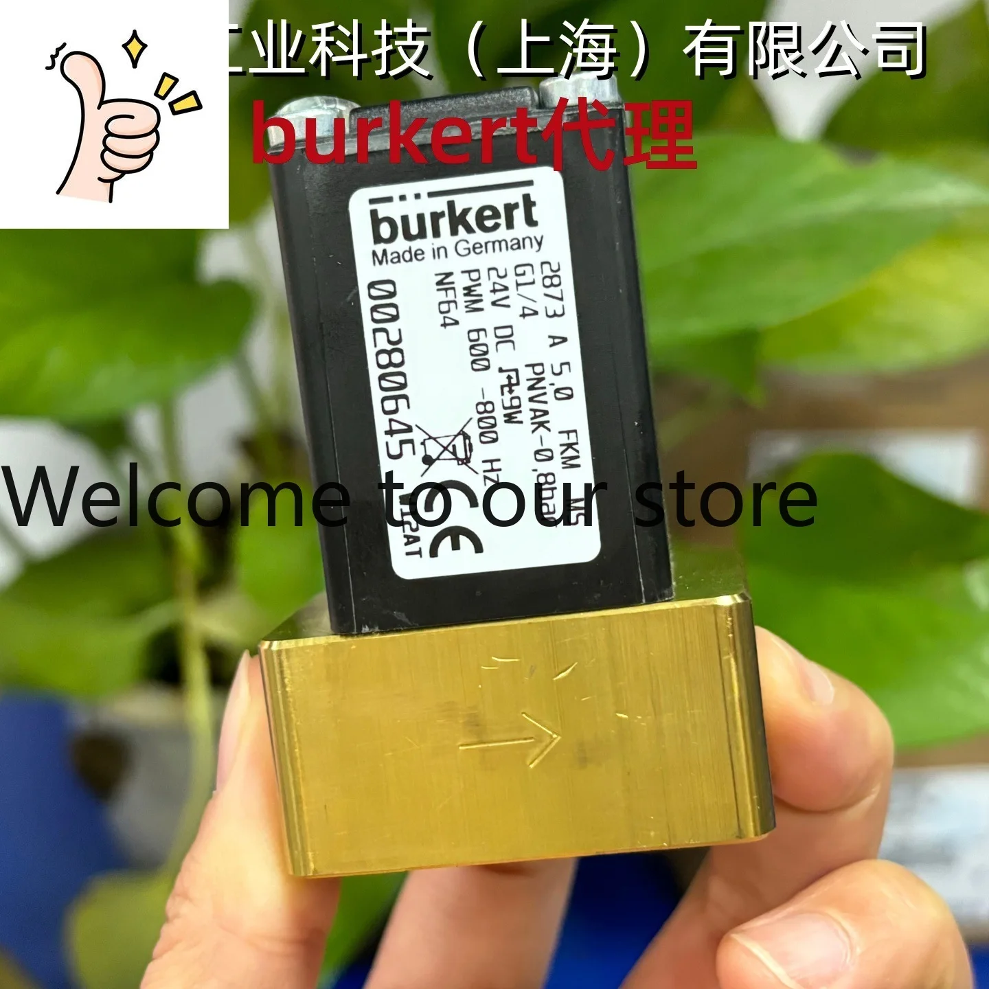 Bode 00280645 Burke…