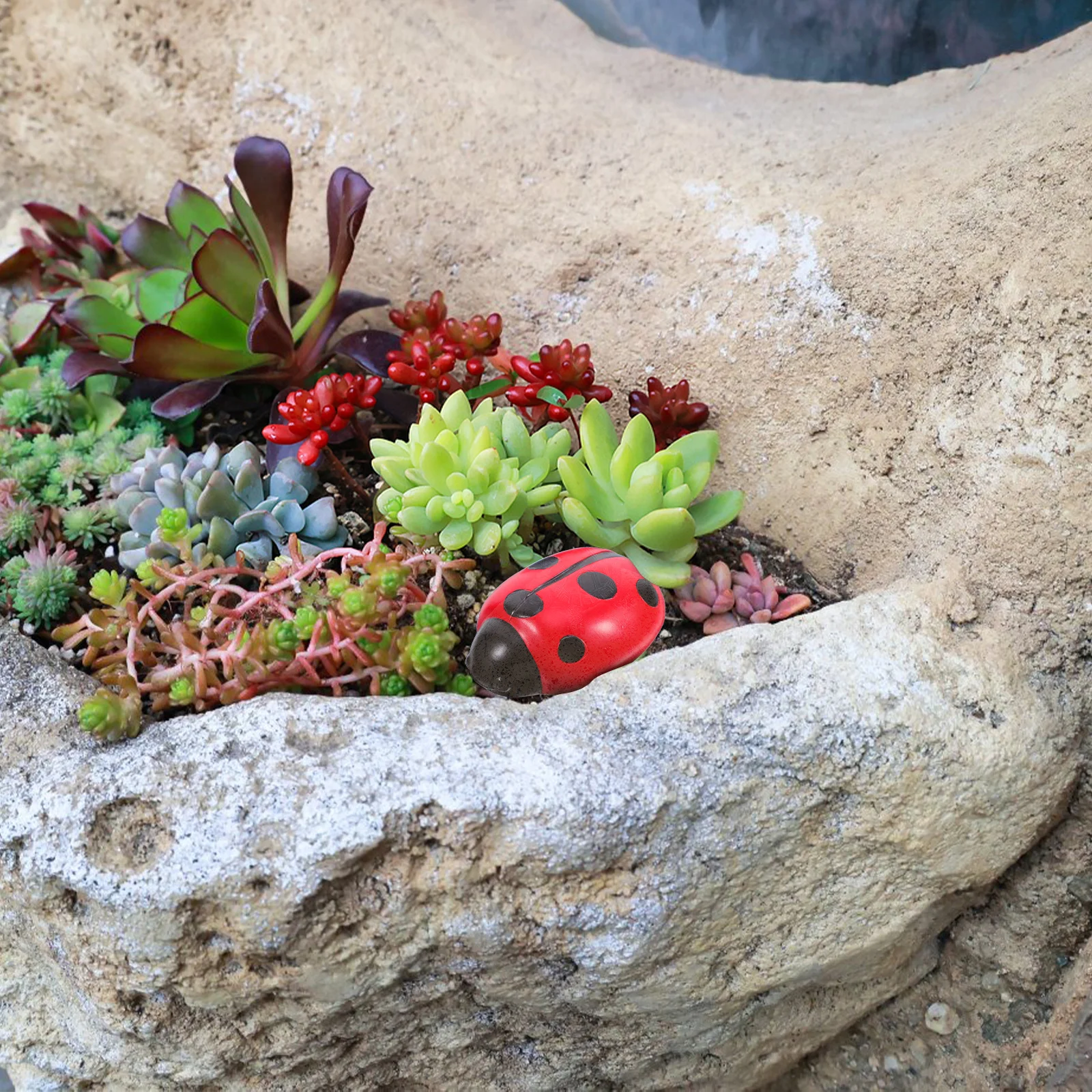 Рисунок 6 - Всепогодный скрывающий ключ с божьей коровкой