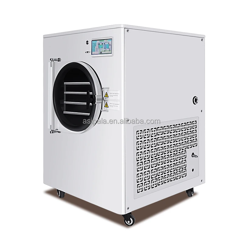 OEM 1-2 kg/batch Small Vacuum Fruit Food Freeze Drying Machine Home Use Vegetable Freezer Dryer With Pump