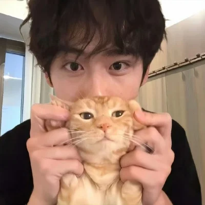 

HB Toys RC Car Power Gear Box with 540 Motor for ZP1001 1/10 RC Vehicles Model Spare Parts