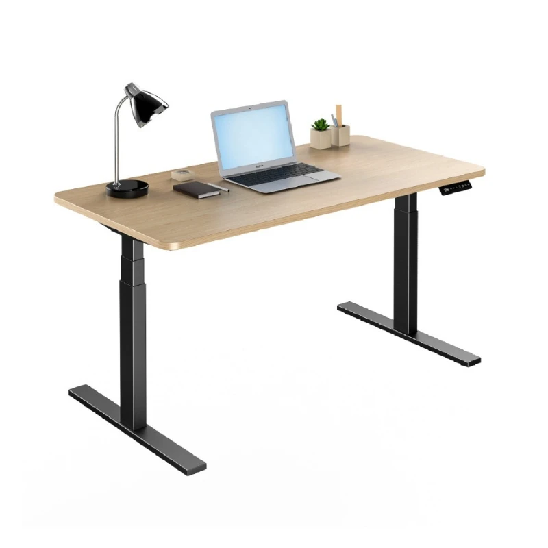 

Lifting computer desk Home work study desk Dual motor three stable silent electric lifting table