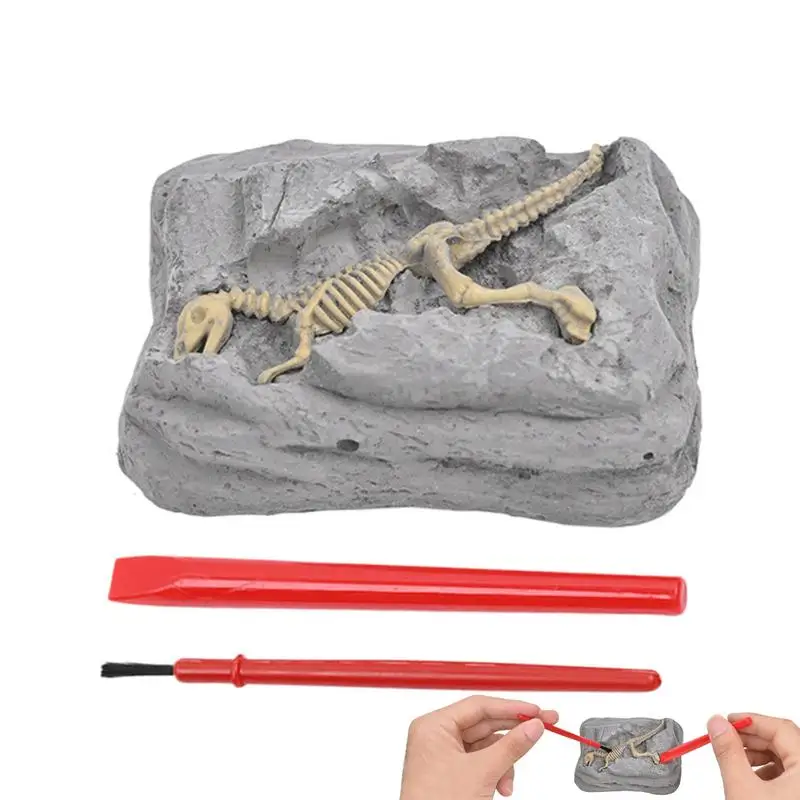 

Dinosaur Fossils Kids Dig Science Kit With Archeology Tools For Kids Science Experiment Material Package Educational Crafts