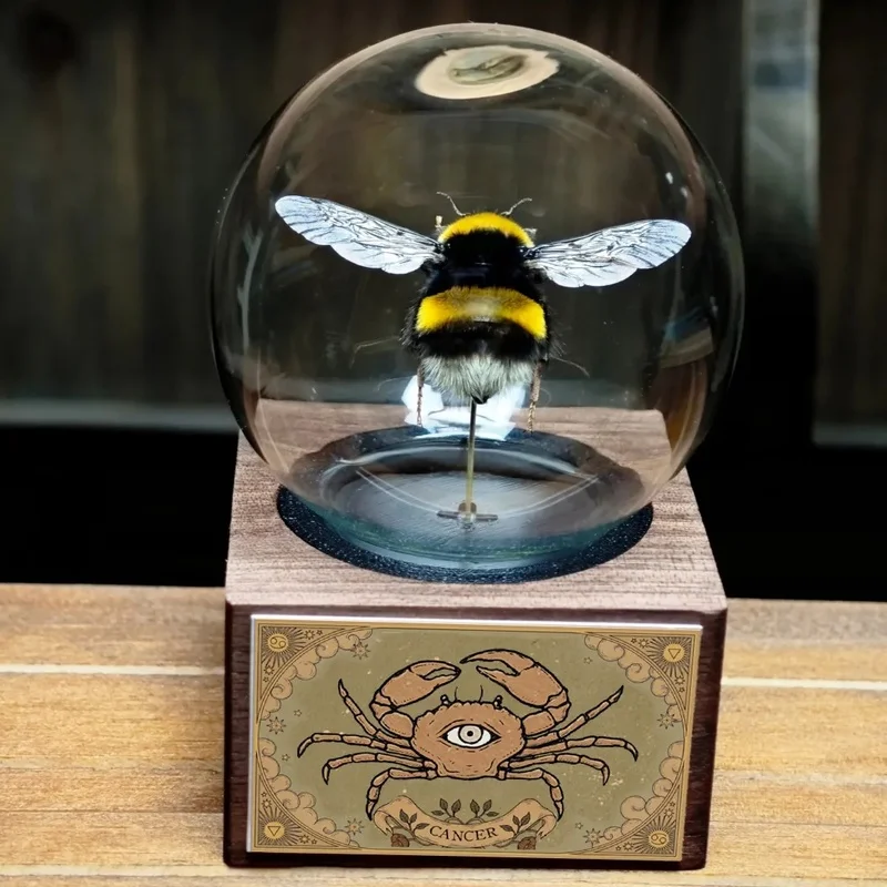 Chonky Queen Bumblebee Glass Ball Desktop Ornament, Natural Education Home Decor, Great Gift for Friends