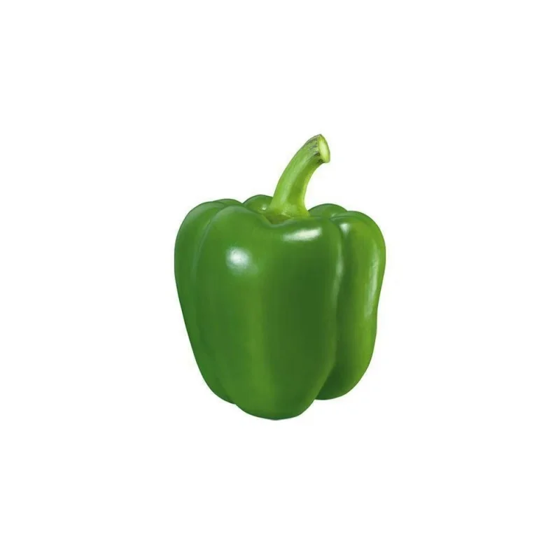 

New EJBR03301D Diesel Fuel Injector Nozzle EJB R03301D Common Rail Injection EJBR0 3301D for Truck JMC Transit 2.8L Van