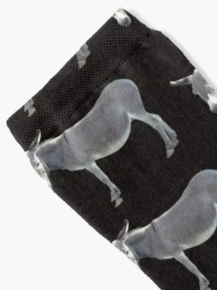 Mr. Mule - Origional Socks Christmas valentine gift ideas sports stockings essential Boy Child Socks Women's