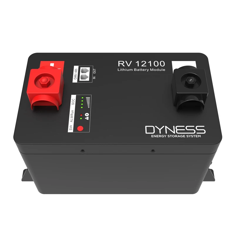 

Dyness New Arrival RV LiFePO4 Battery 12V 100Ah 1.28kWh RV12100 Replace Lead Acid Battery Pack With Long Cycles 6000