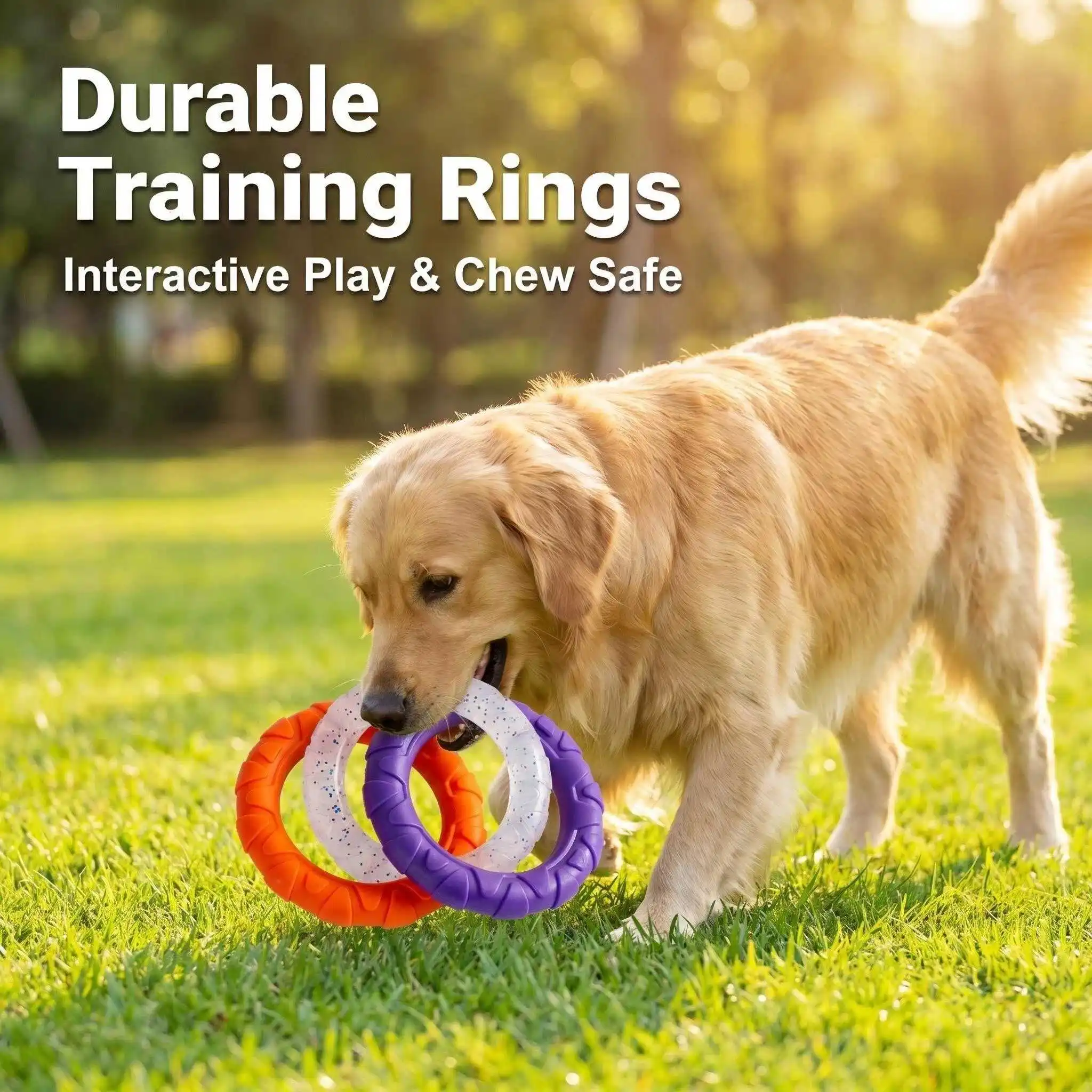 Durable Dog Chew Toy TPR Teeth Cleaning Pet Toys Interactive Bite Resistant 3 Colors Ring Dog Toy Pet Supplies Accessories Stuff