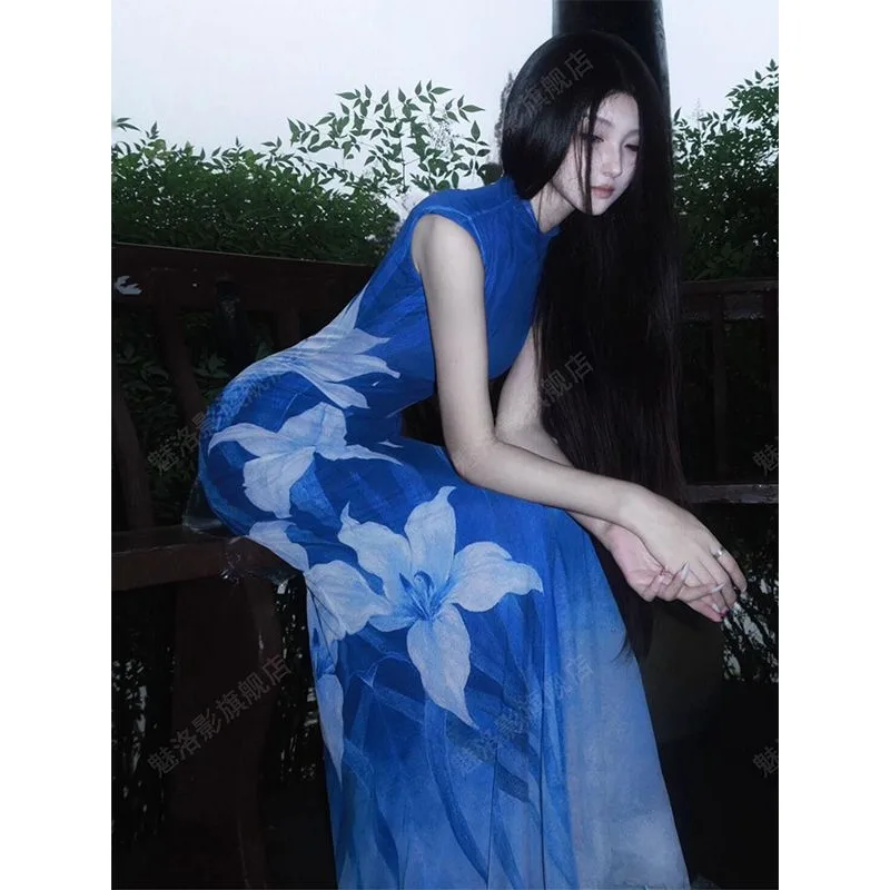 

Dress Women's Autumn Designer Style Floral Print Mesh Fitted Waist Slimming Bodycon Cheongsam Long Dress Casual Minimalist Niche