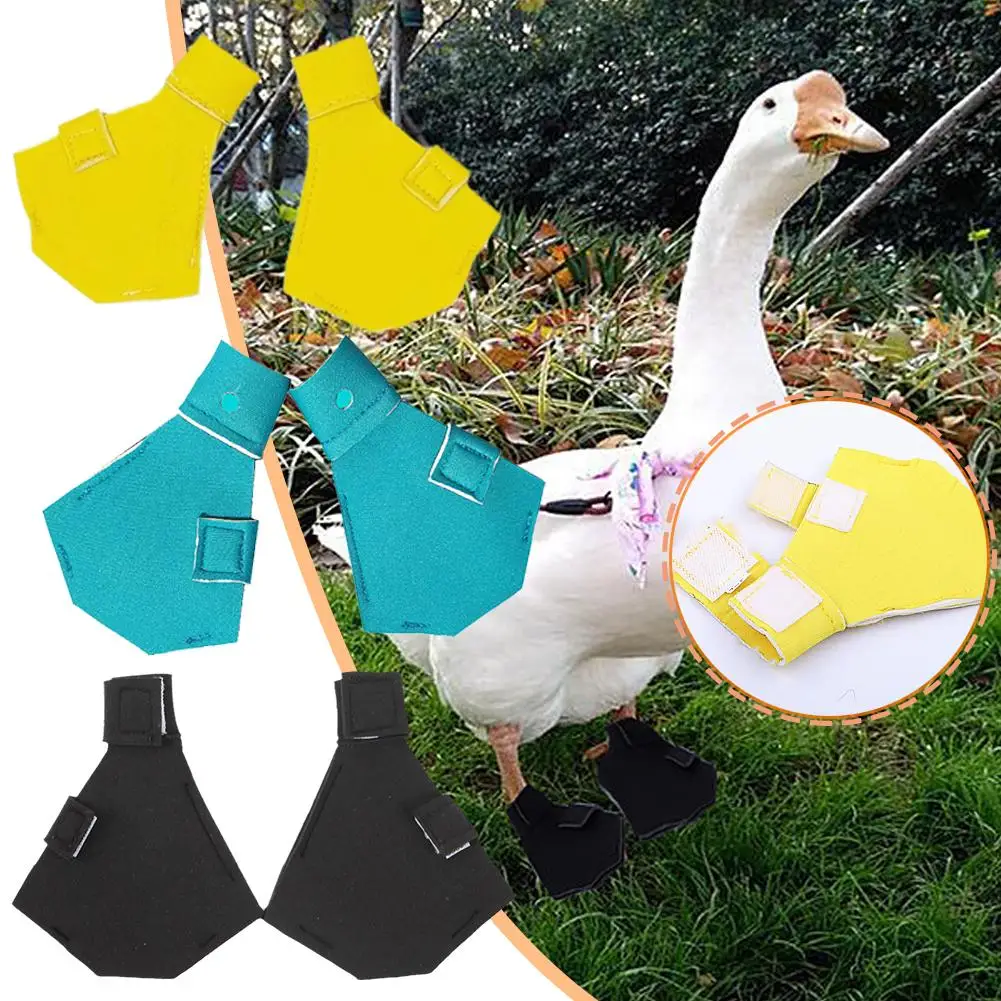 Sapatos de pato leves respiráveis, botas diárias antiderrapantes, calçado para patos pequenos, cuidados com os gooses, teia, fofo, transporte da gota