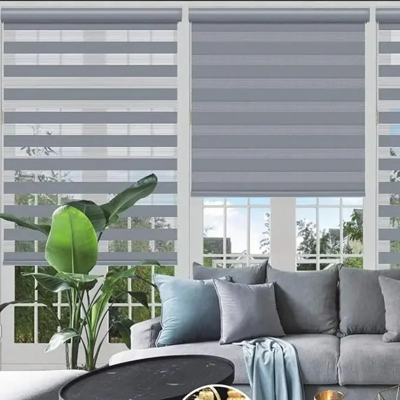 Wholesale Double Layers Day And Night Shades Spring Control Zebra Blinds For Windows