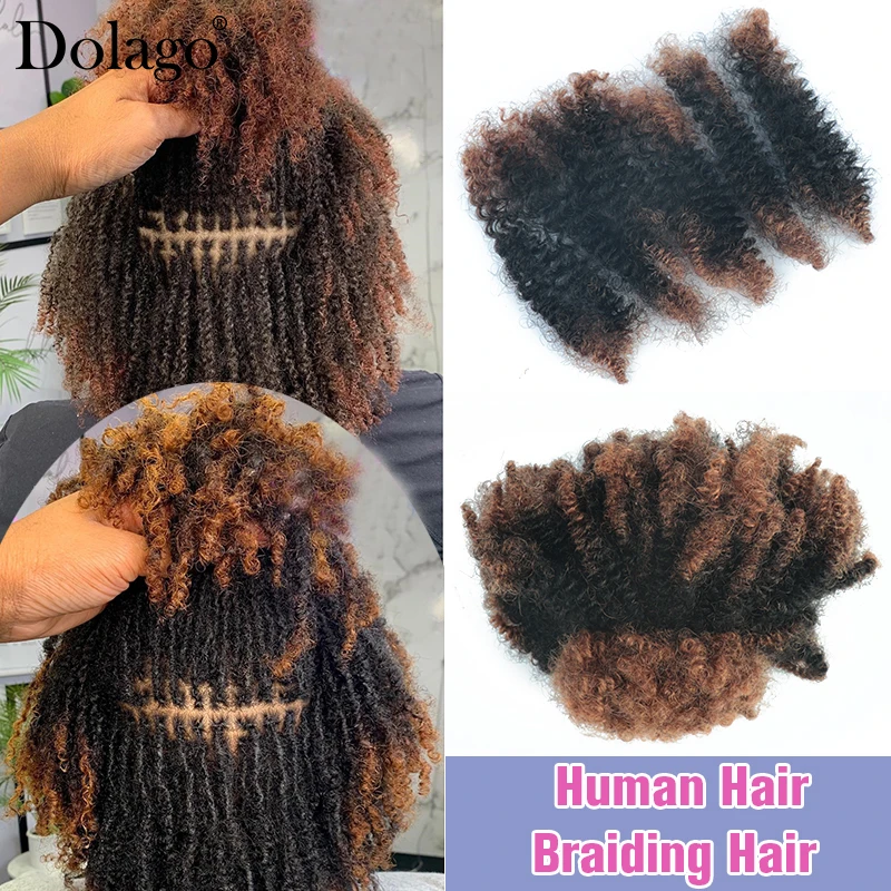 

Human Braiding Hair Afro Kinky Curly Locks Hair Extensions Microlocs Bulk Hair For Braiding Ombre Color Brown Crochet Braids 4C