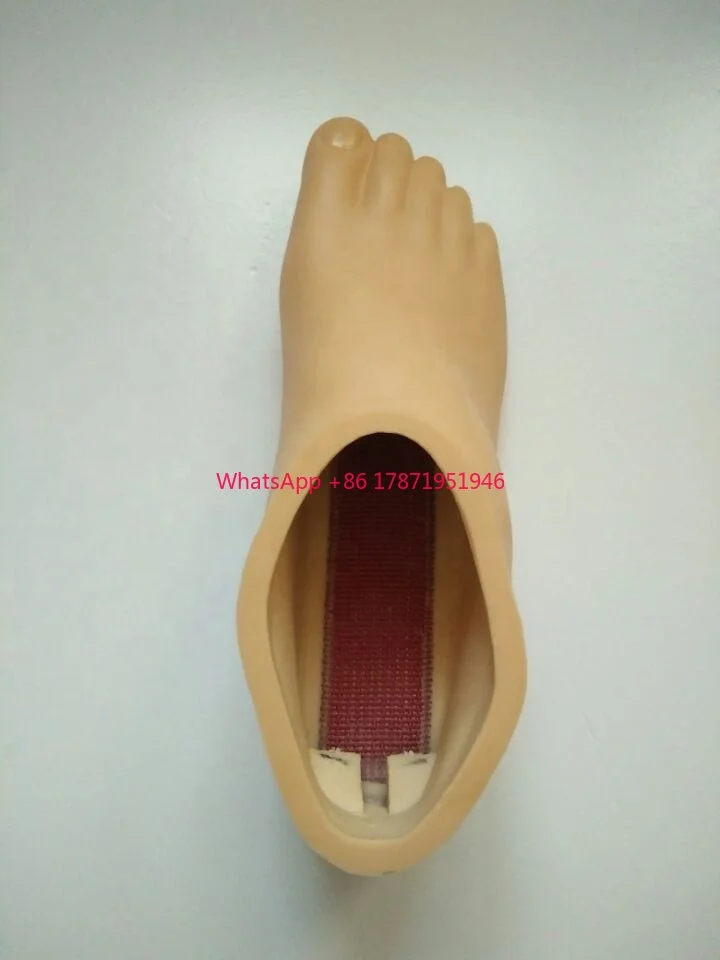 Carbon Fiber Artificial Foot Prosthetic Foot Cover/foot Shell