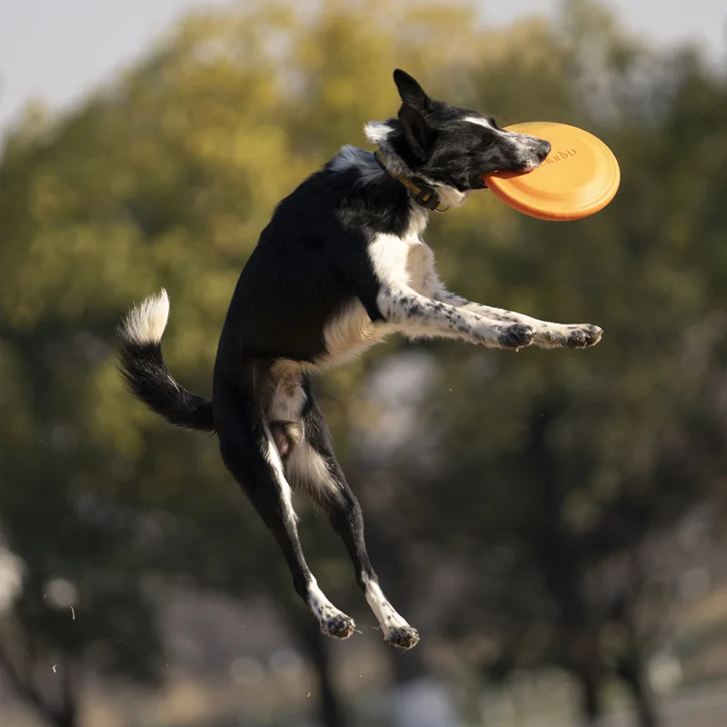 Bite Resistant Soft Flying Discs for Dog Training Competition Outdoor Game Flying Saucer Kids Pet Interactive Toy 23.5cm