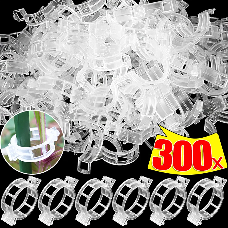 

Plant Clips Supports Reusable Plastic Connects Fixing Vine Tomato Stem Grafting Vegetable Garden Tools Plants Orchard Supplies