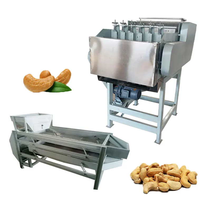 Customized Automatic Macadamia Shelling Equipment Palm Kernel Dehuller Almond Hazelnut Cracker Energy Saving