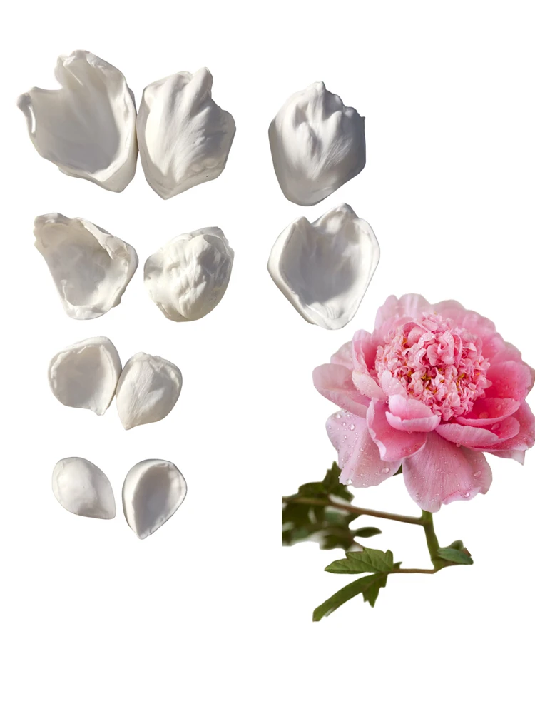 10pcs/set Peony Petal Silicone Veiner Mold DIY Handmade Fondant Flower Clay Form Mould Cake Decorating Tools Baking Accessories