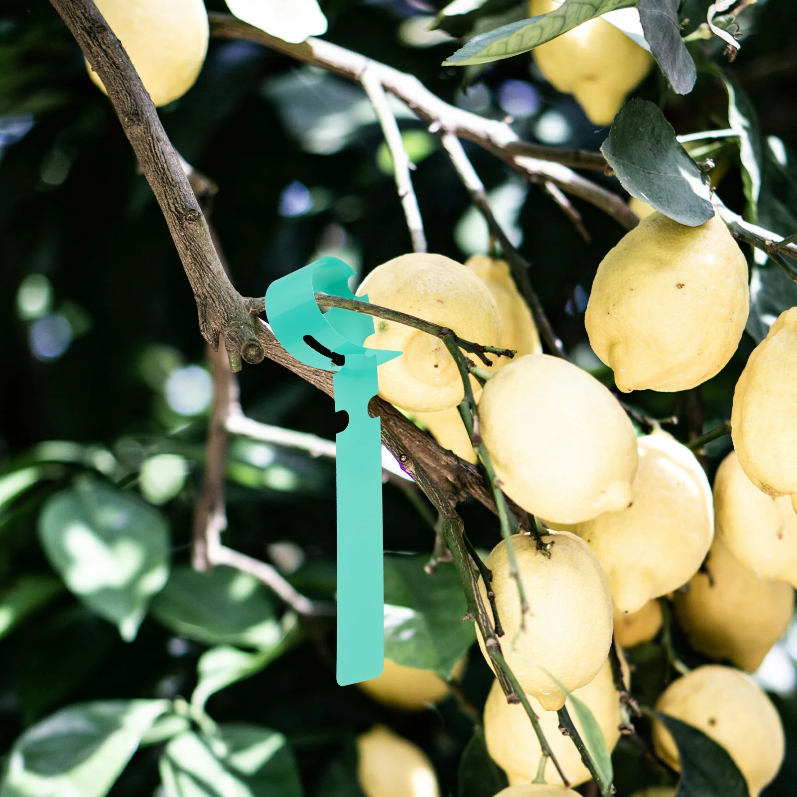 

100pcs Plant Tags Waterproof Durable Green Plastic Garden Labels Weather Resistant Easy Writing Cleaning Hanging Tags For