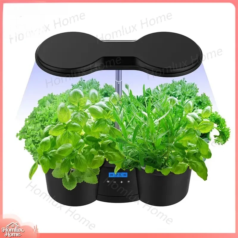 Customized Plant Germination Kit for Gardening Early Education Kids Science Experiment 12 Pots Lettuce Seed Starter