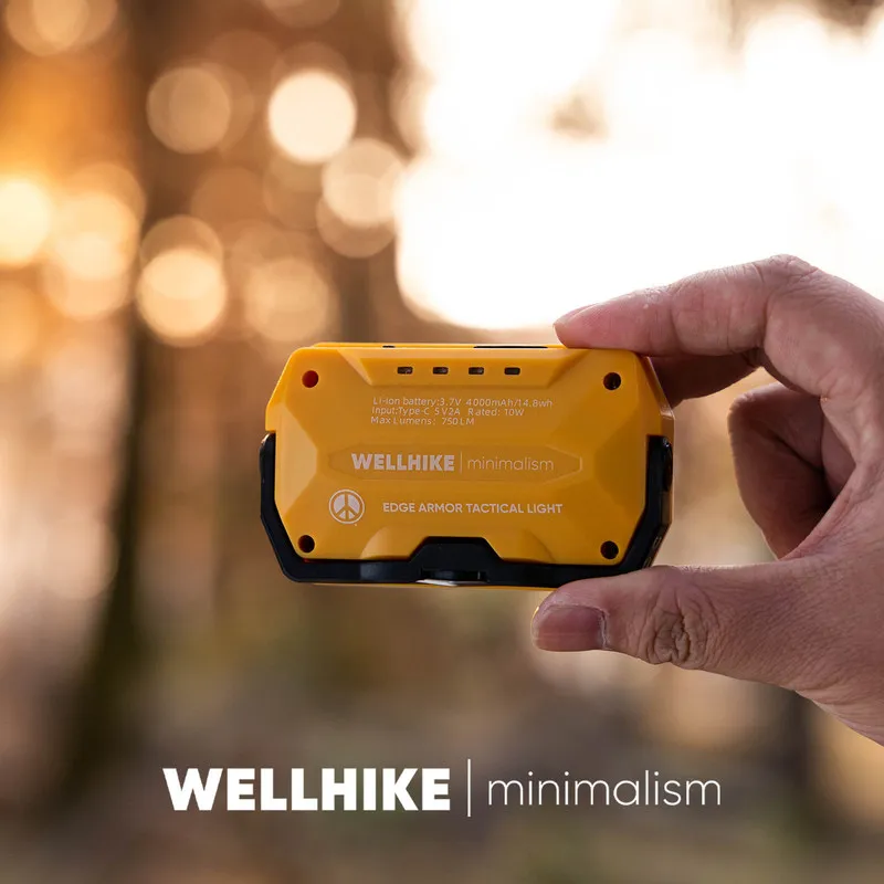 

Светодиодный фонарь WELLHIKE для кемпинга, магнитный, размером с карту, сверхъяркий, с зарядкой через USB-C, длительное время работы, для велоспорта, пеших прогулок и использования на открытом воздухе