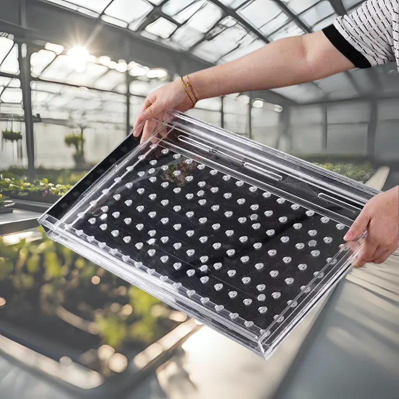 

New Handheld Plug Tray Seeder Time-Saving Seeder Tool for Farmers, Easy to Carry, For chili peppers (other chili peppers)