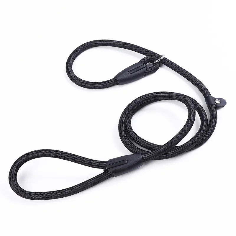 Laisse de chien en plomb coordonnante pour animaux de compagnie, ULen nylon, anti-étouffement, collier antidérapant pour chien pointu, petits chiens, dressage et marche