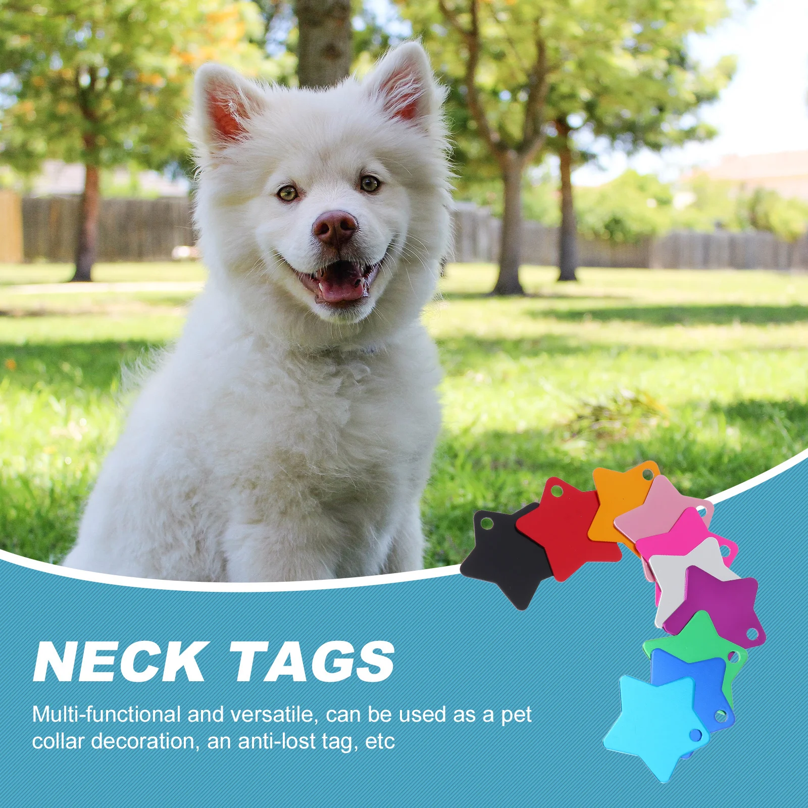 

10Pcs High-Quality Pet Tags Star Shaped Colorful Engraved Id Tags for Dogs Cats Multi-Functional Collar Decor Dog Charms