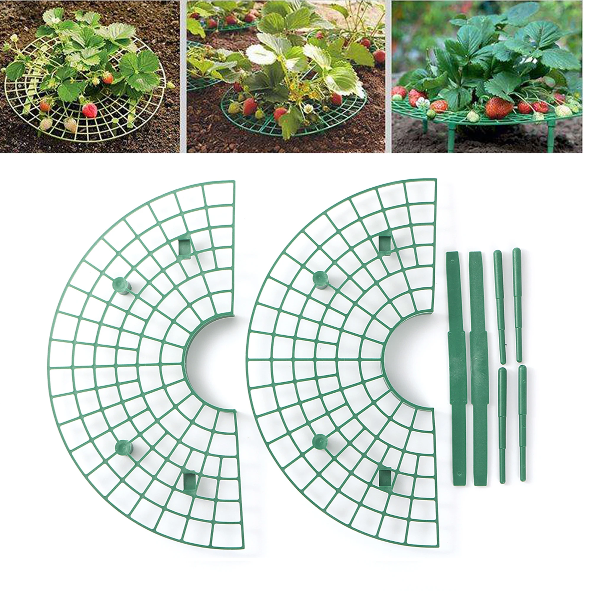 

Strawberry Holder Keeps Strawberries Clean and Bug-Free Sturdy and Easy to Assemble Fruit & Vegetable Vines Protector Holder