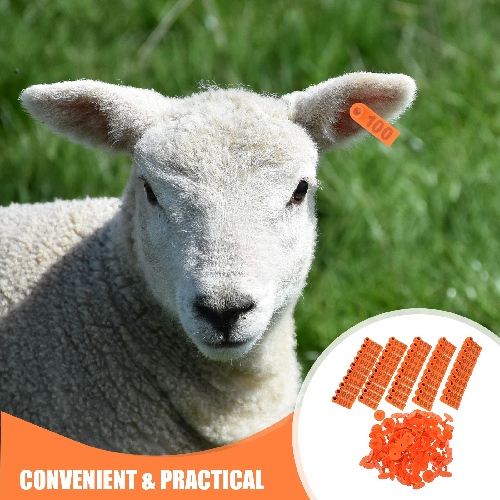 

100pcs Ear Tags For Livestock Custom Numbering Durable Weather Resistant Tags For Sheep Cattle Cow Goat Plastic Animal Id Tag