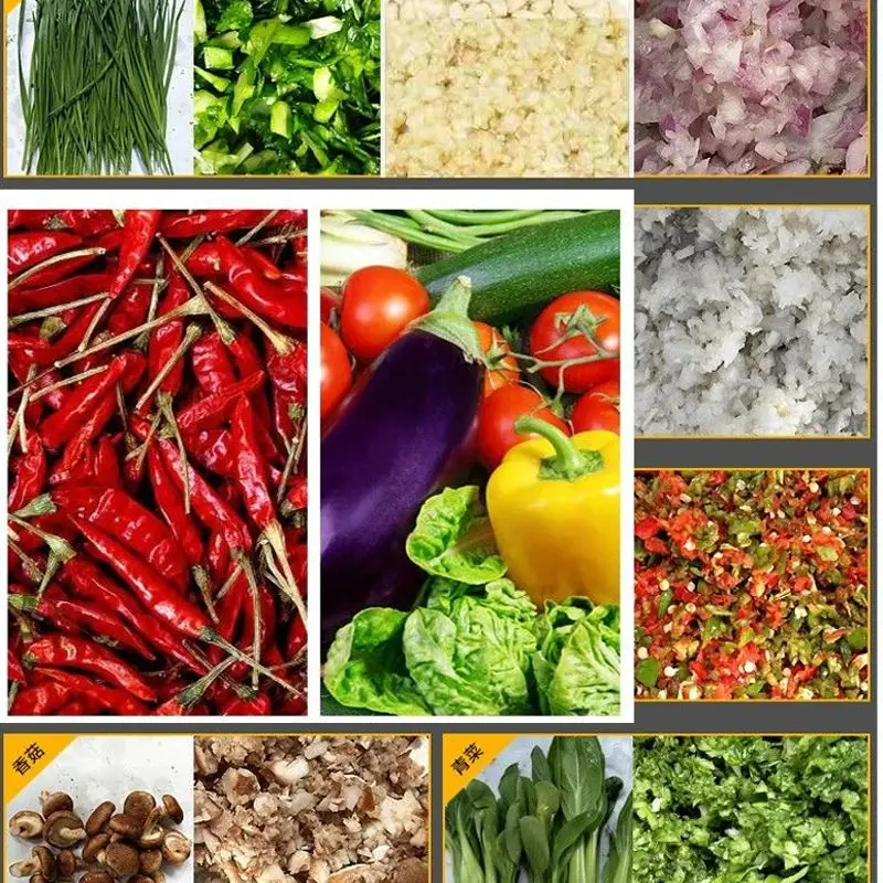 

Stuffing Chopping Machine Vegetable Chopper Garlic Shallot Meat Shredding Grinder Machine Dumpling Filling Machine