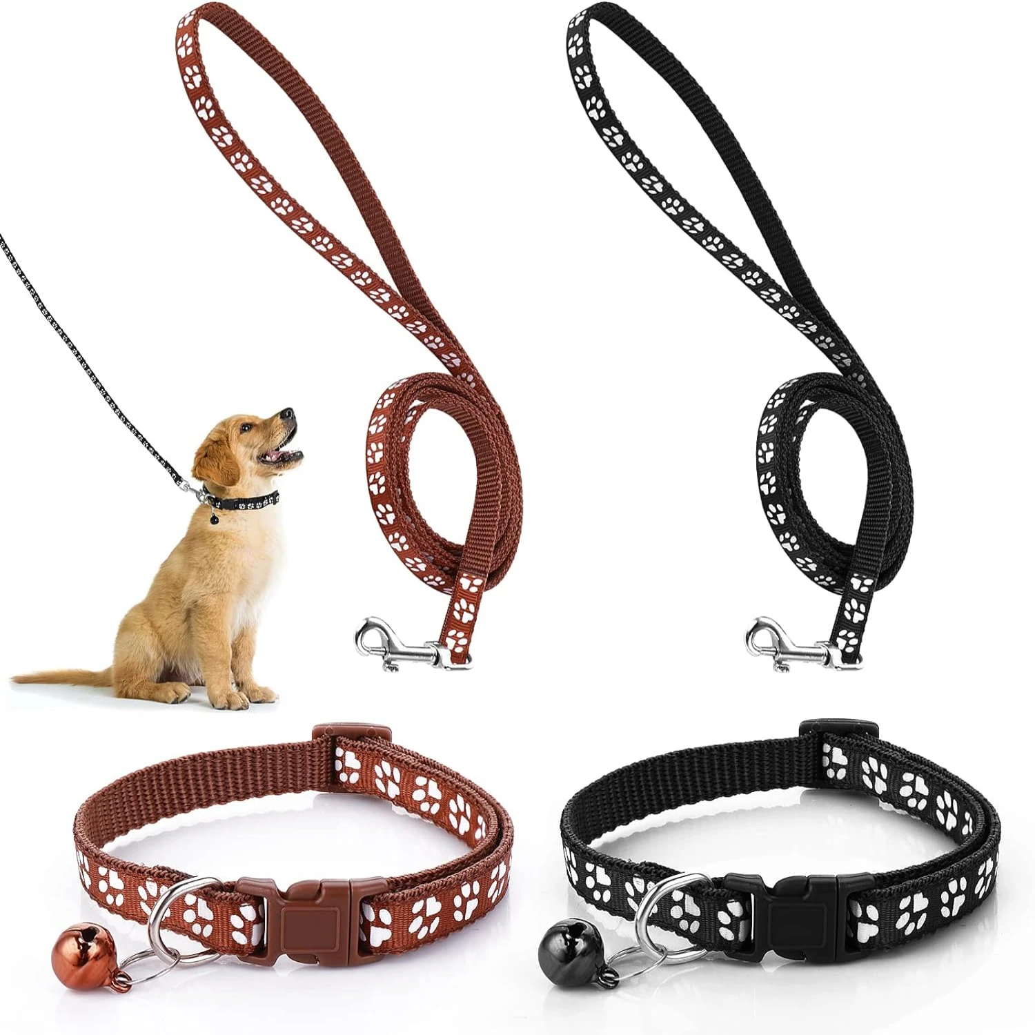 Reliable, Practical, and Stylish Pet Accessories for Stress-Free Outings and Adventures to Keep Your Furry Companion Safe and Sh