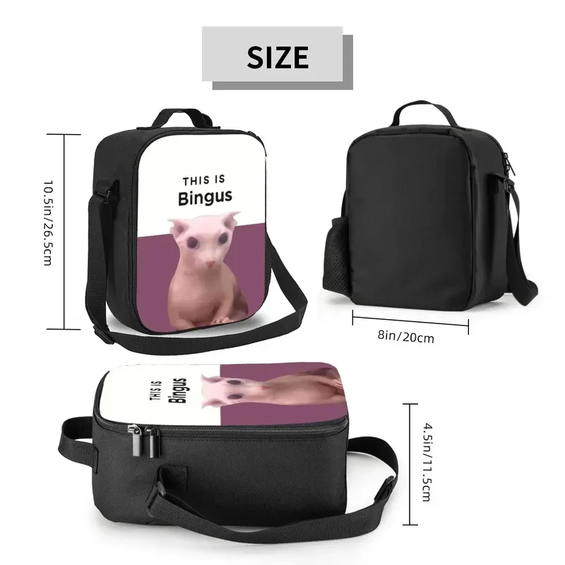 Isto é lancheira reutilizável Bingus para mulheres, Kawaii Sphynx Cat Cooler, comida térmica isolada lancheira, escolares e estudantes