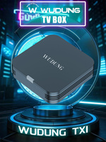 Original WDUNG TX1 Android 10 TV Box 2.4G WIFI 4K 16GB Global Media Player MINI Set Top Box
