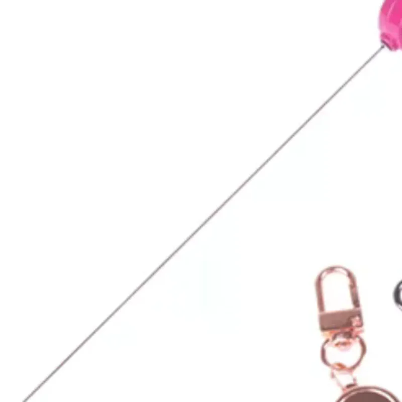 21MM Anti-theft Metal Easy-to-pull Buckle Rope Retractable Key Holder Elastic Keychain Sporty Retractable Key Ring Nurse Parts