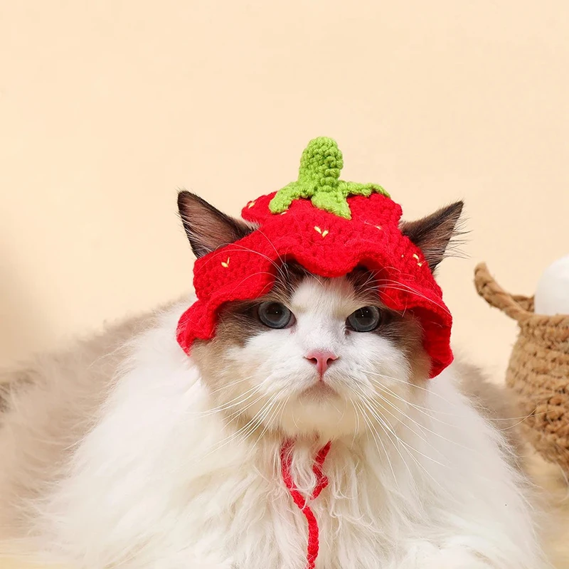 Autumn Winter Cat Hat Elastic Cute Refined Pet Hat Puppy Kittens Knitted Hat Party Photo Shoot Props Decoration Cat Accessories