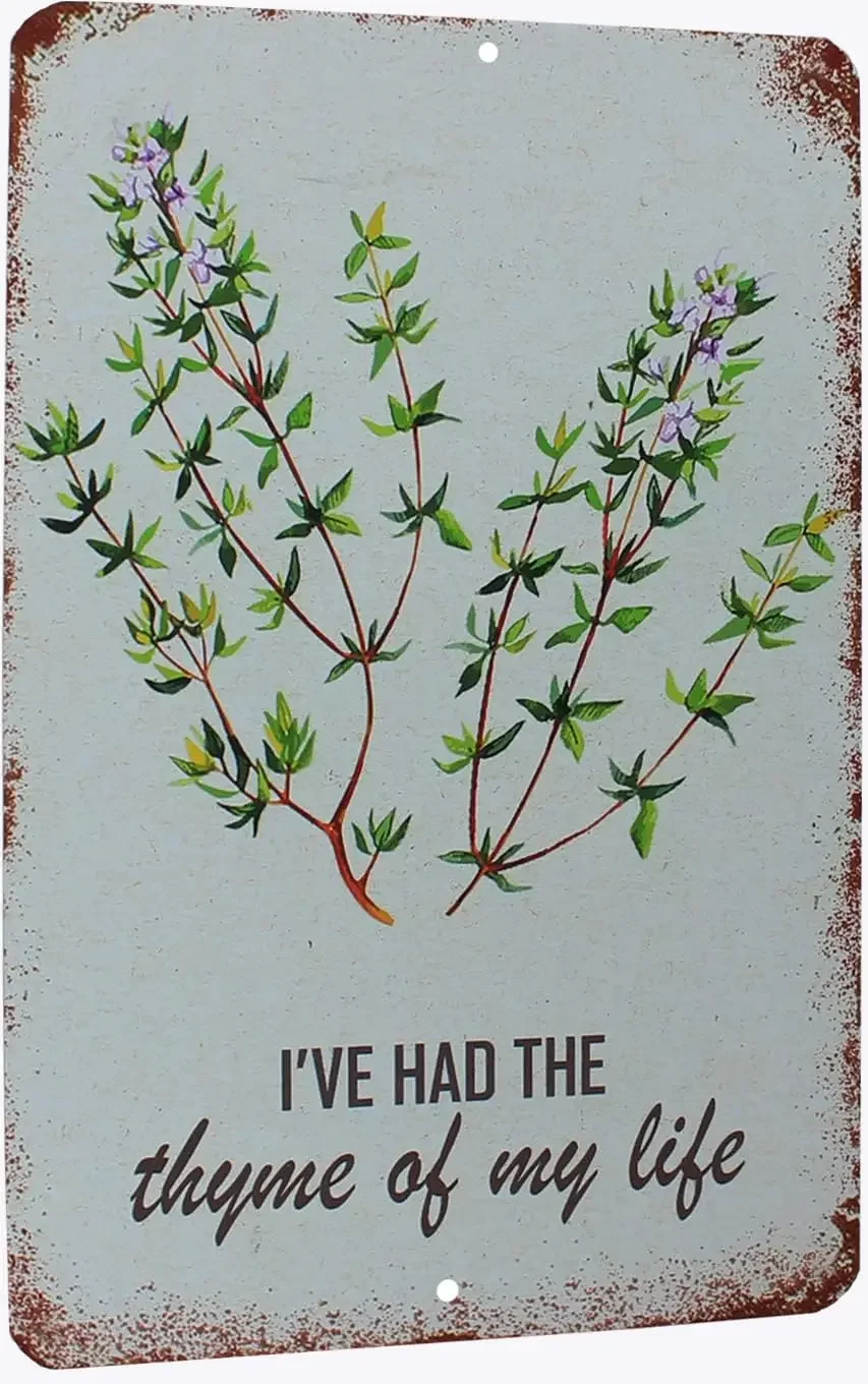Funny Retro Tin Sign I’ve Had The Thyme Of My Life Green Art Print Iron Hanging Home Decor Farmhouse Living Room Reading Bedr