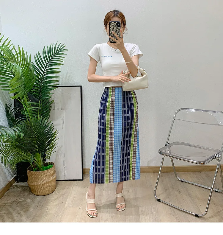 

2025 New Summer Advanced Sense Half-body Skirt Fashion Casual Versatile High Waist Elastic Waist Women's Miyake Pleated Skirt