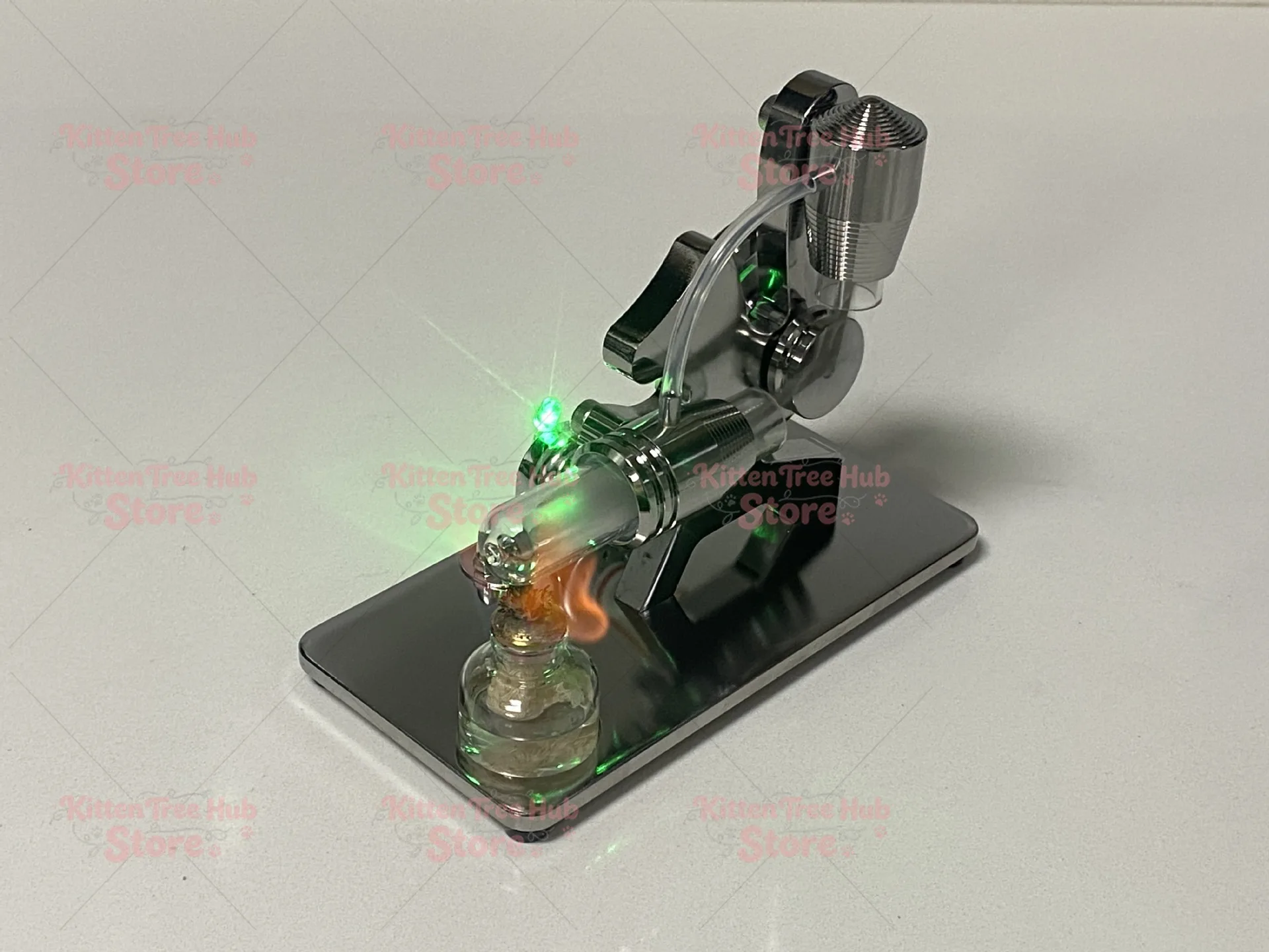 Squirrel Modeling Models, Science and Physics Experiments