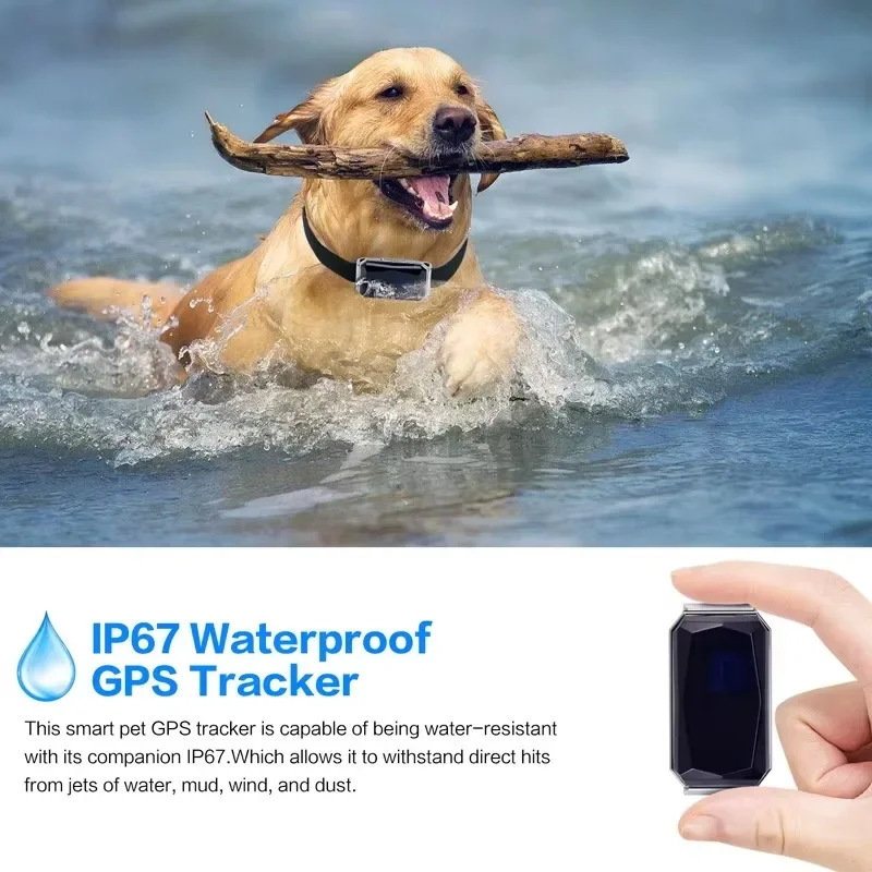 IP67 Waterproof G12P Pet Mini GPS Tracker Free APP Web Tracking System 365GPS for Dog Cat