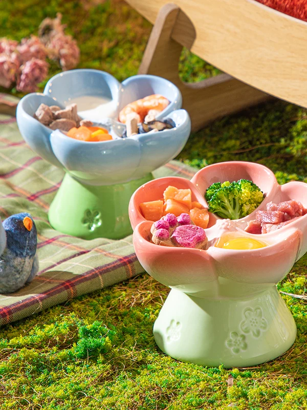 

Питательная миска для животных Cerc с разделителем, на высокой подставке, со скошенным краем, двухцветный градиентный дизайн для здорового питания питомцев