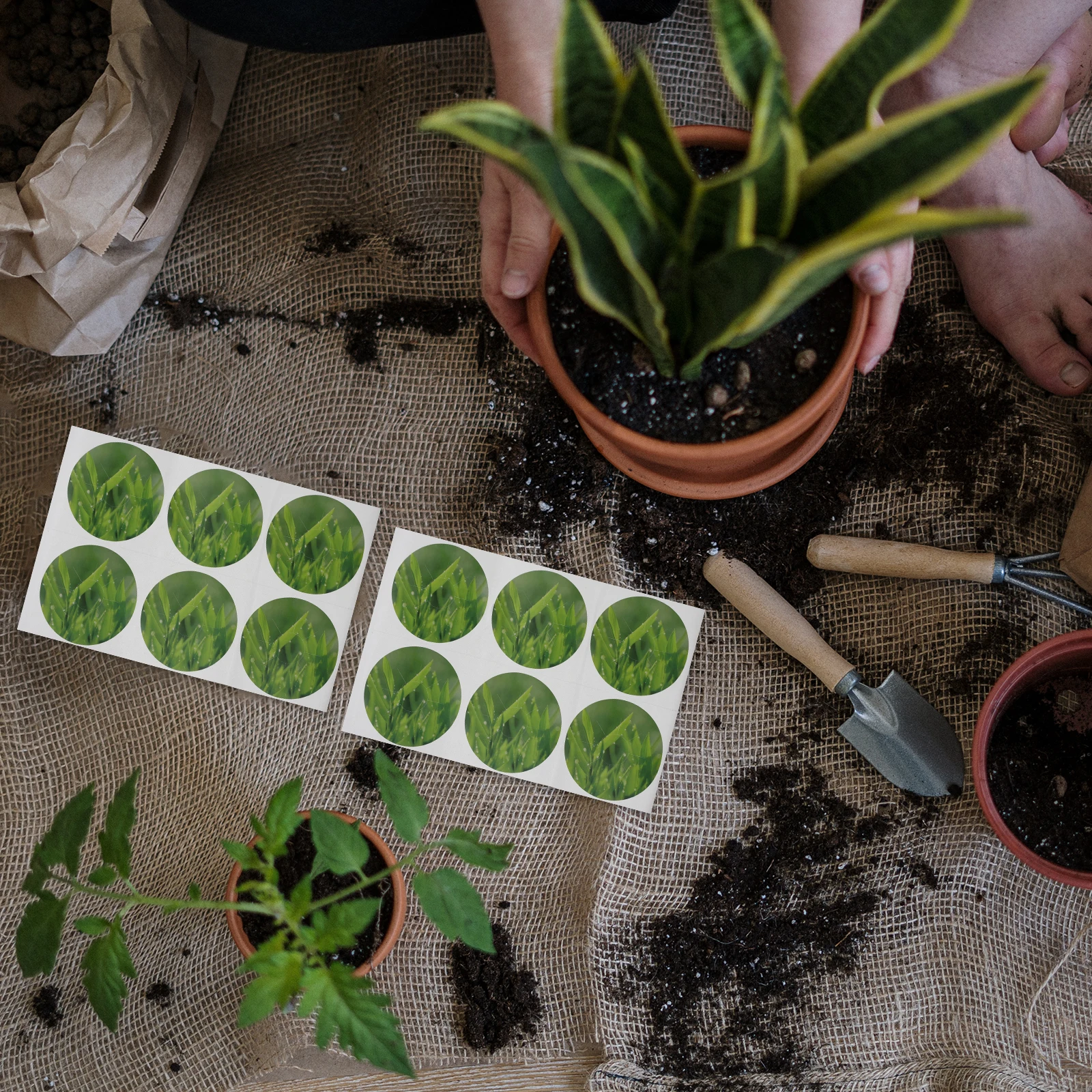 

121 Pieces Seedling Pot Planting Basket System Growing Baskets Hydroponic Cups Germination Net PP Material Garden Containers