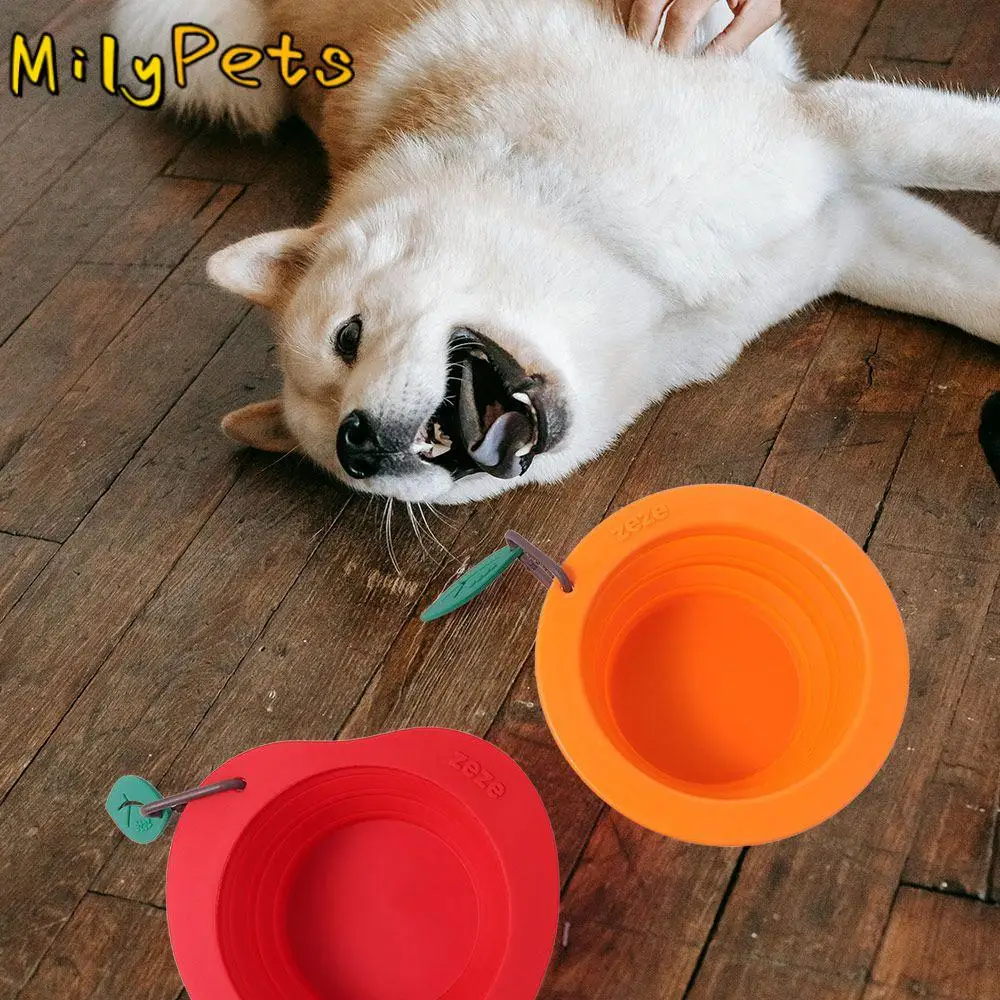 

Convenient 350ML Pet Folding Bowl Silicone with Carabiner Puppy Food Container Foldable Large Dog Collapsible Dishes Outdoor