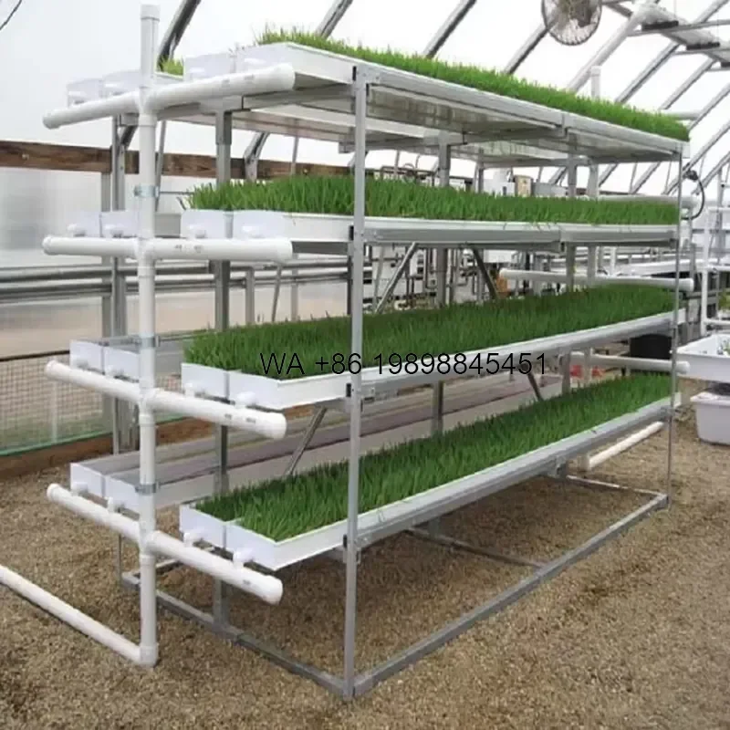 Wmwmnu Complete Hydroponic Fodder System Kit with Large Grow Trays for Rapid and Space Saving Animal Feed Production